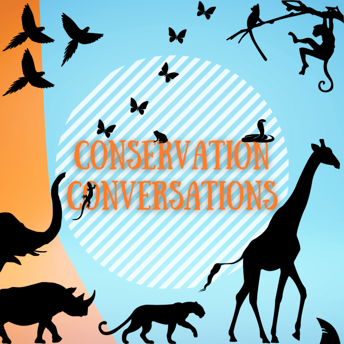 Online wildlife conservation webinars